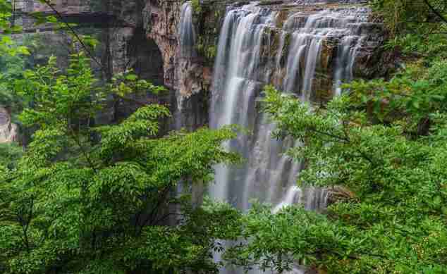 王莽岭景区门票价格2018+优惠政策 王莽岭景区门票价格2018+优惠政策