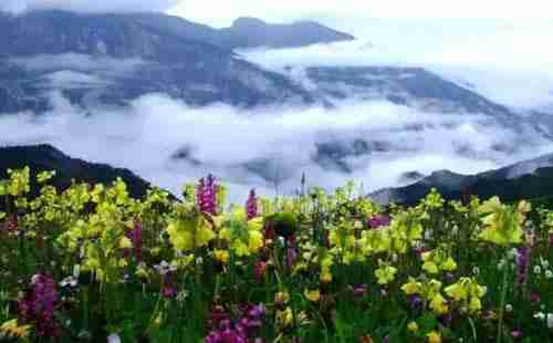 九頂山在哪里 有什么好玩的 九頂山在哪里 有什么好玩的