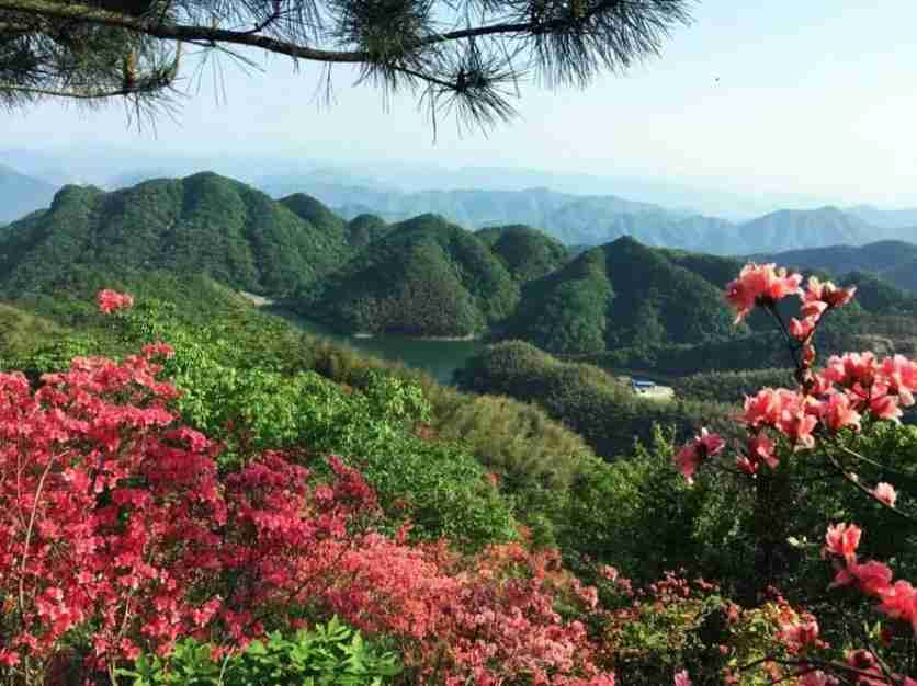 武汉周边最受欢迎的十大小众景点 人少景美欢乐多