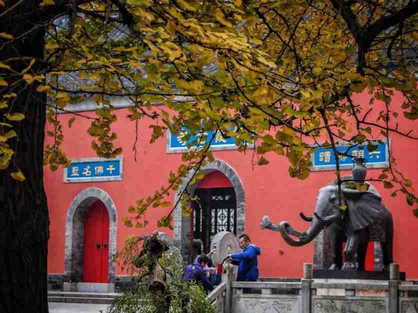 2018南京棲霞寺端午止觀禪修征集怎么報名