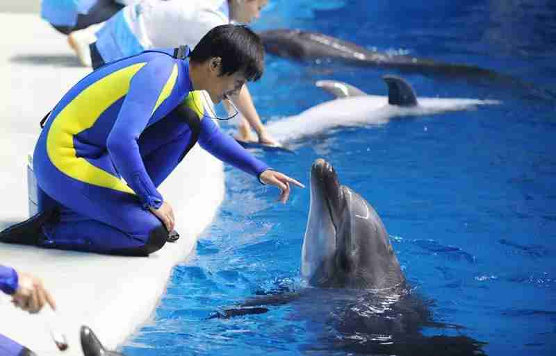 2018武漢六一兒童節(jié)去哪玩 親子游景點推薦