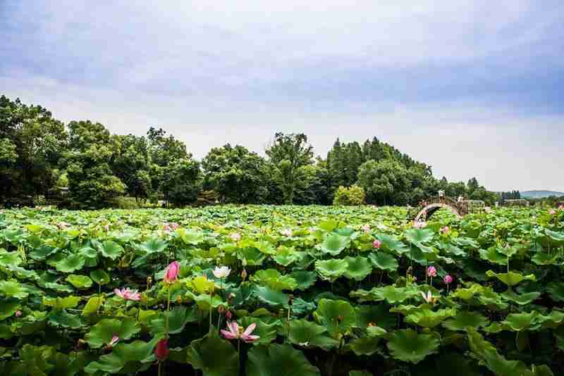 2018武漢六一兒童節(jié)去哪玩 親子游景點推薦