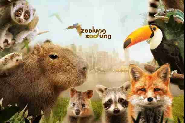 2018武漢六一兒童節(jié)去哪玩 親子游景點推薦