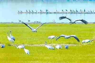 武汉有哪些风景好的湖 武汉美燃爆的湖推荐 武汉有哪些风景好的湖 武汉美燃爆的湖推荐