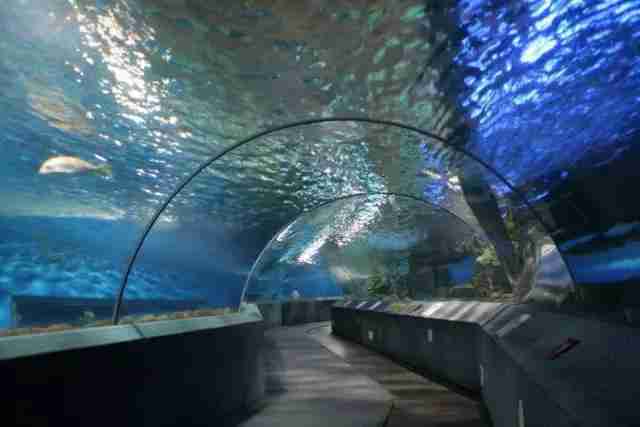 南京好玩的水上樂園 南京夏天去哪兒玩