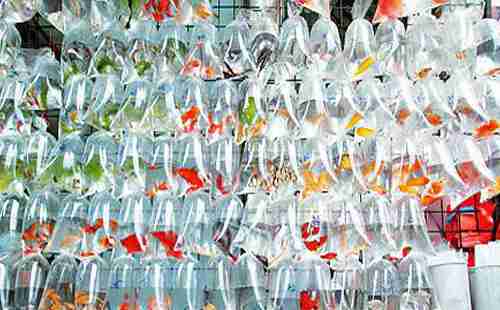 香港有哪些購物街