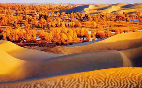 哪里的沙漠最好玩+沙漠景點介紹