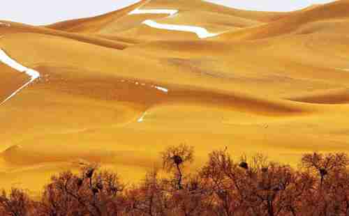 哪里的沙漠最好玩+沙漠景點介紹
