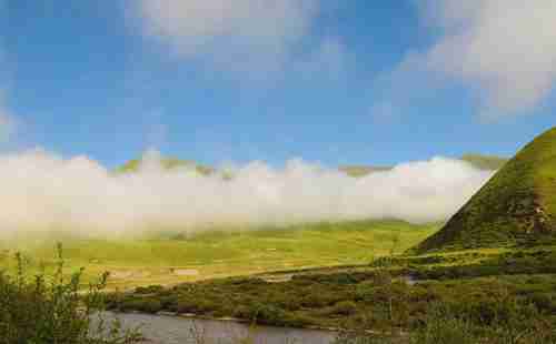 青海森林公園有哪些+旅游景點介紹
