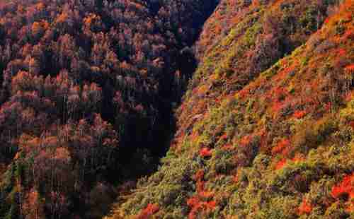 青海森林公園有哪些+旅游景點介紹