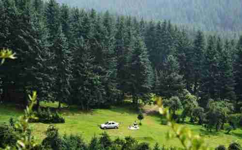 青海森林公園有哪些+旅游景點介紹