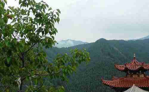 青海森林公園有哪些+旅游景點介紹