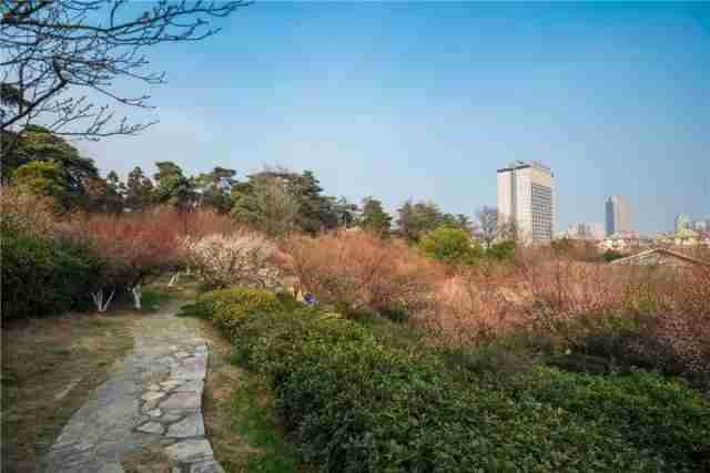 南京有哪些适合野餐的地方 南京露营推荐