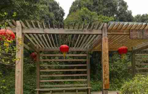 漳州荔枝海公園在哪里 有什么好玩的