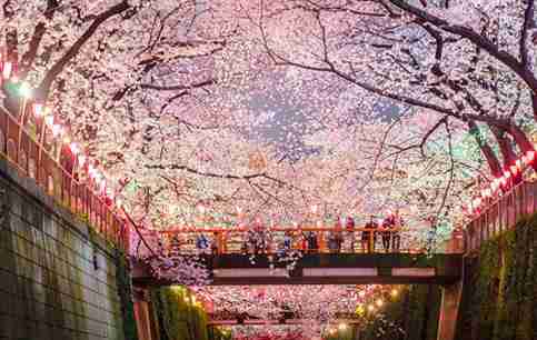 日本禮儀的禁忌與文化有哪些 日本禮儀的禁忌與文化有哪些