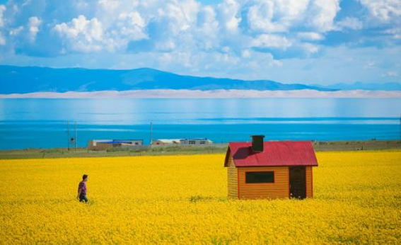 七月去青海湖注意事項(xiàng) 