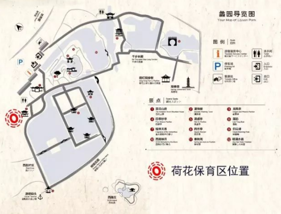 2018無錫蠡園荷花什么時候開