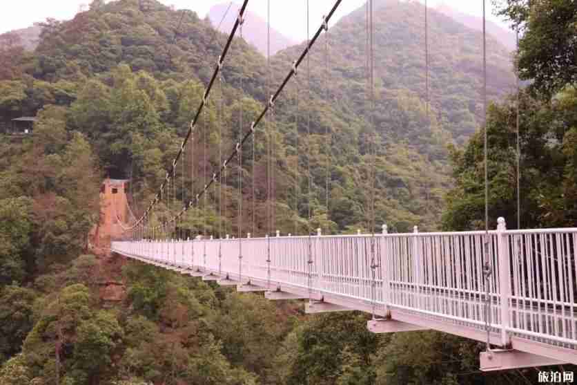 安徽5d玻璃桥在哪里 醉山野醉仙谷玻璃桥游玩视频