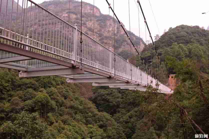 安徽5d玻璃桥在哪里 醉山野醉仙谷玻璃桥游玩视频