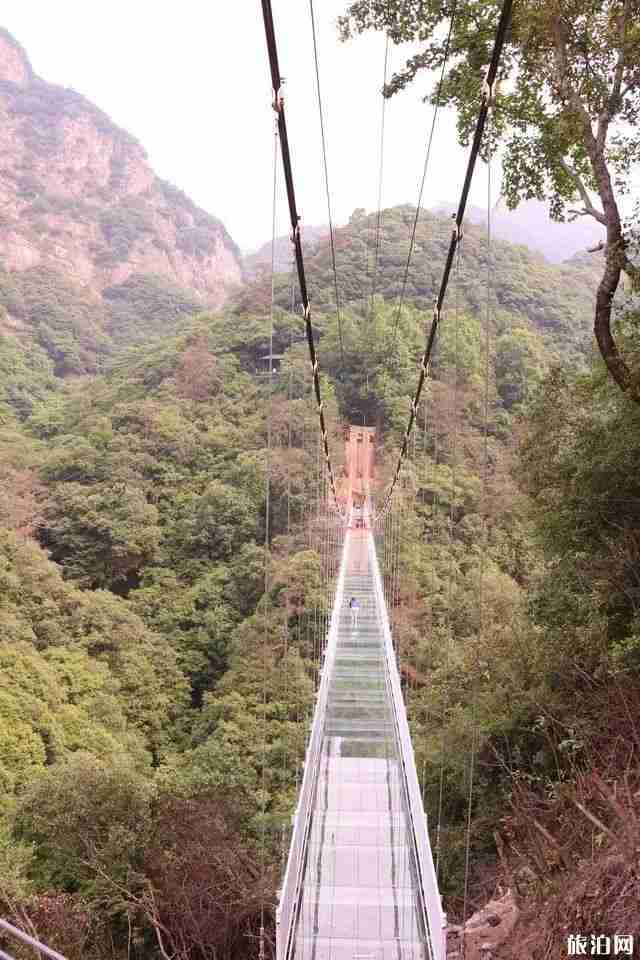 安徽5d玻璃桥在哪里 醉山野醉仙谷玻璃桥游玩视频