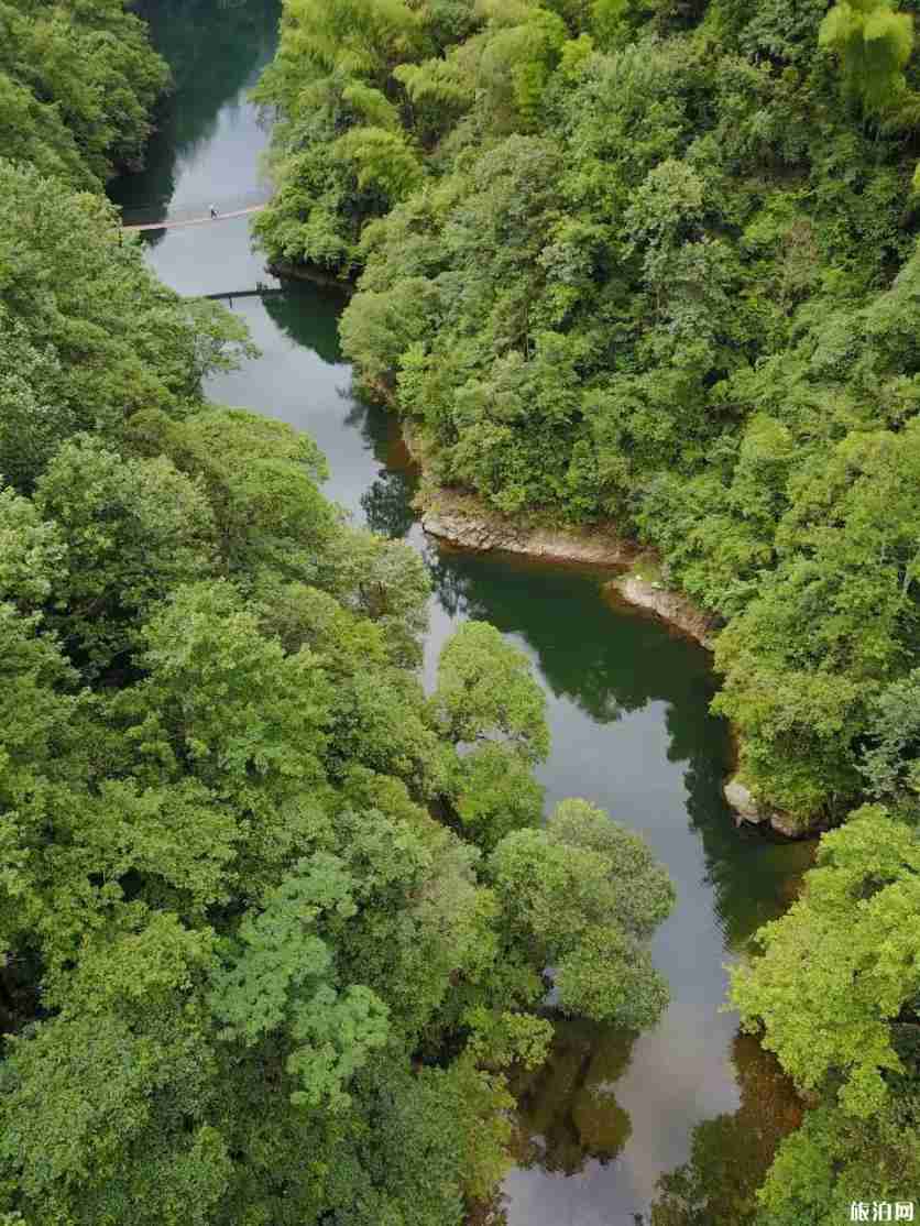 安徽5d玻璃桥在哪里 醉山野醉仙谷玻璃桥游玩视频