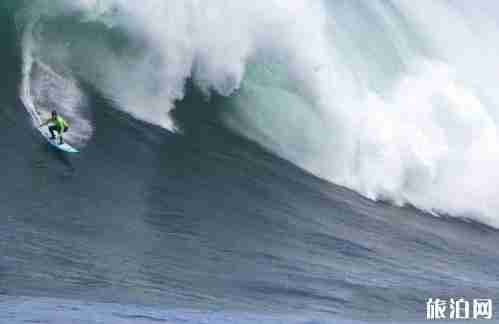 澳洲冲浪去哪里 澳洲冲浪海滩介绍