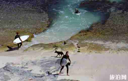 澳洲冲浪去哪里 澳洲冲浪海滩介绍