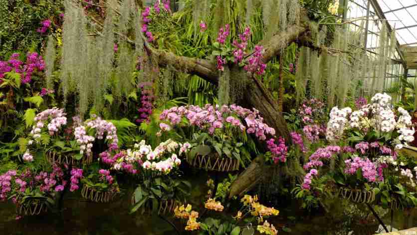 武汉适合小孩子玩的地方 武汉适合小朋友玩的地方