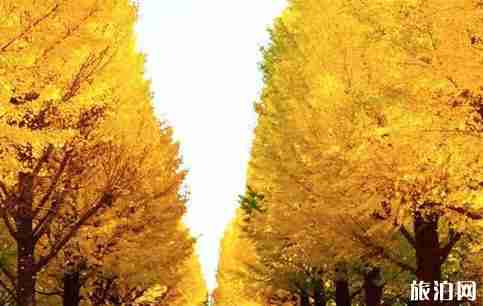 日本紙幣上的景點有哪些 景點介紹大全