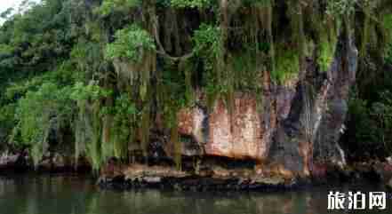 多米尼加旅游景点有哪些+美食介绍 多米尼加旅游景点有哪些+美食介绍