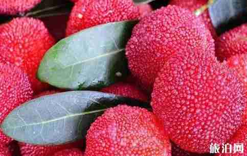 浙江哪个地方的杨梅最好吃 浙江哪个地方的杨梅最好吃