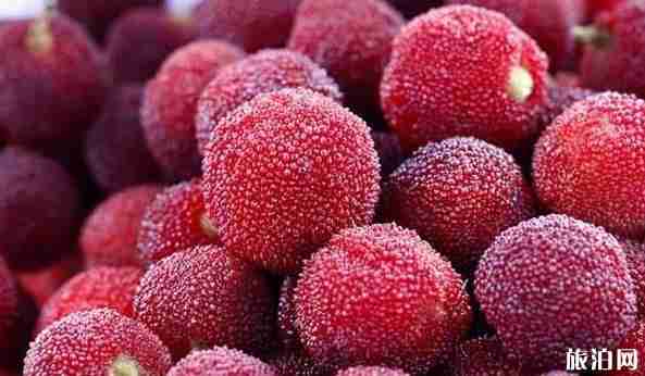 浙江哪个地方的杨梅最好吃 浙江哪个地方的杨梅最好吃