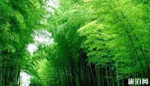 四川6月旅游的地方有哪些 旅游景点介绍