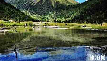 四川小众景点有哪些 四川人少景美的旅游景点推荐