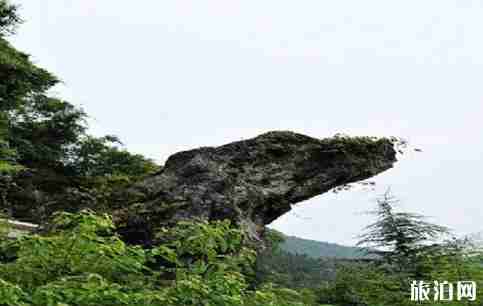 四川渠县属于哪个市 有什么好玩的 四川渠县属于哪个市 有什么好玩的