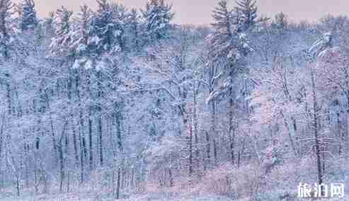 美国乡村小镇风景图片 美国小镇旅游介绍