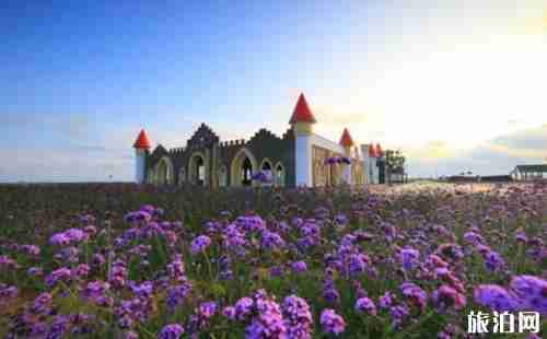 2018烟台赏花攻略时间+地点+交通