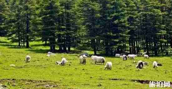 山西端午旅游推薦 端午節(jié)去山西玩什么