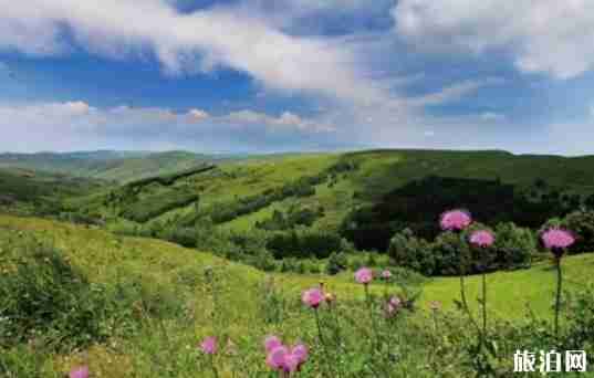山西端午旅游推薦 端午節(jié)去山西玩什么
