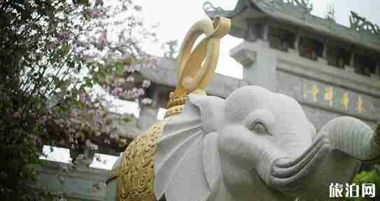 寺廟修行有什么條件 國(guó)內(nèi)最適合修行的寺廟推薦