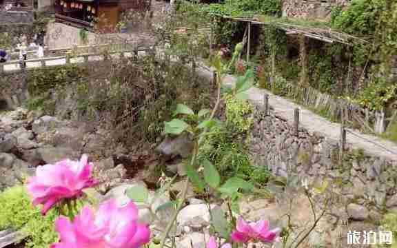 7月去哪里避暑好 浙江避暑地方推薦 7月去哪里避暑好 浙江避暑地方推薦