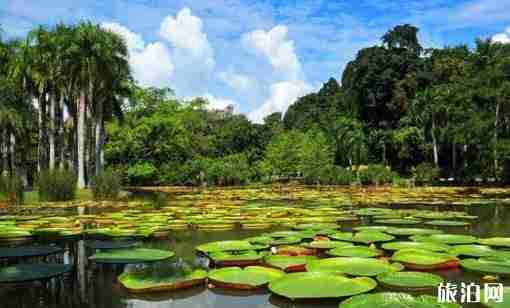 云南5a景區有哪些 云南5a景區景點介紹