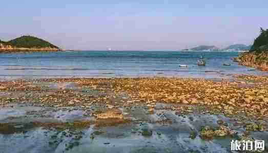浙江海島旅游推薦