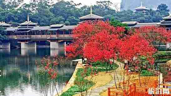 广西小众旅游景点推荐 小众旅游景点介绍 广西小众旅游景点推荐 小众旅游景点介绍