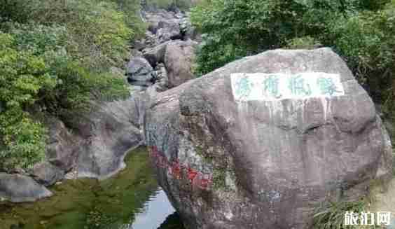 廣東森林公園有哪些 廣東森林公園排名