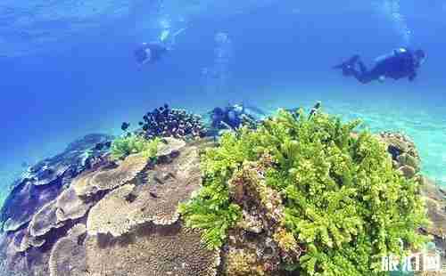 蜈支洲島和分界洲島哪個好玩