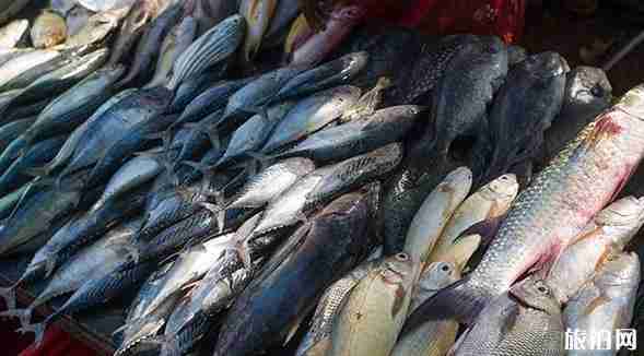 廣東海島旅游景點介紹+美食攻略