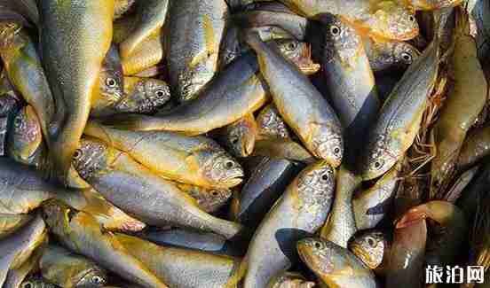 廣東海島旅游景點介紹+美食攻略