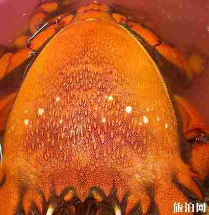 廣東海島旅游景點介紹+美食攻略