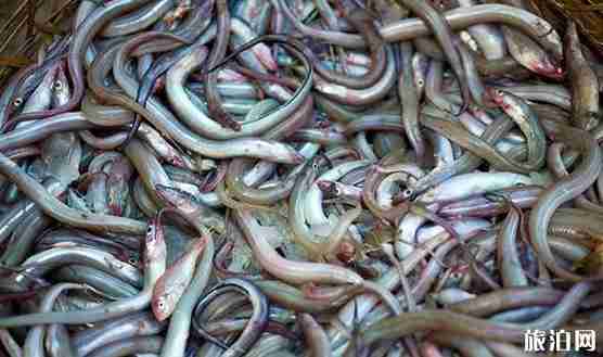 廣東海島旅游景點介紹+美食攻略